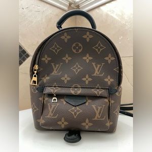 Louis Vuitton Palm Springs Mini Backpack